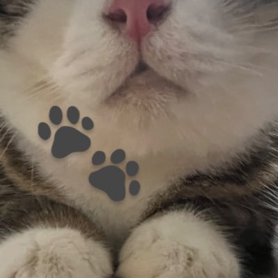 ima.猫🐾 (@I7XRdtp0ic23064) / Posts / X