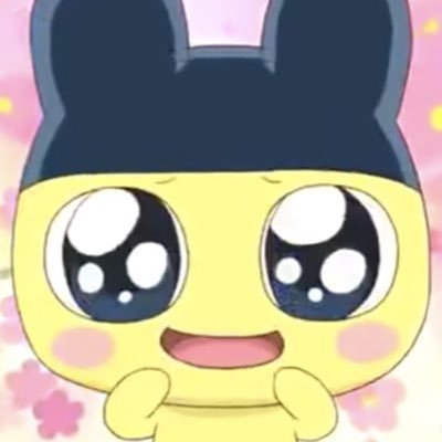 _taichuchu_'s profile picture. とびきりの運命に 心からありがとう🐻✨