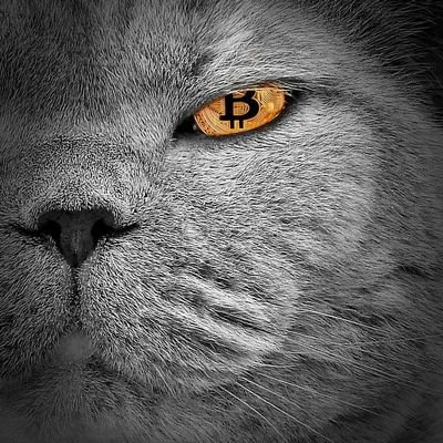 tanmagnus1's profile picture. Into crypto, coffee, and chaos ☕📈
DM not Allowed