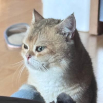 mymeyouandme's profile picture. ⋆. 𐙚˚࿔ ยัยแป๋วของพรี่ 𝜗𝜚˚⋆