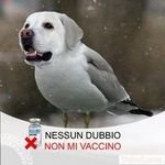 Semplicemente un patriota italiano 🇮🇹
Seguitemi e ricambierò il follow