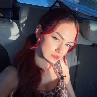 Senaysebzeci's profile picture.