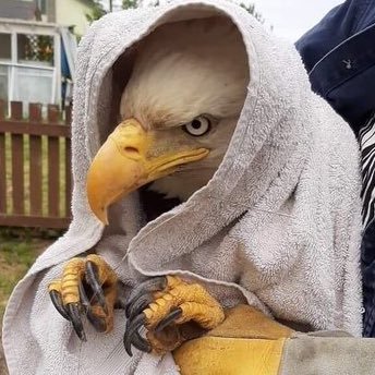 my0sot1s_eth's profile picture. in Web3 since 2020 | rookie: Stay hungry. Stay foolish
你問我我唔知啊