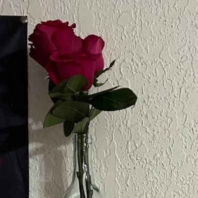 dummmymuttt's profile picture. | nsfw | 21 | owned | dms open | content available | he/him/hole