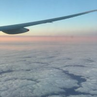 Piglet (@piglet44melb) 's Twitter Profile