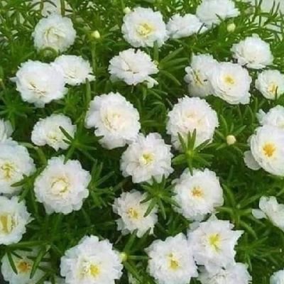 BunchyVorn37255's profile picture. 