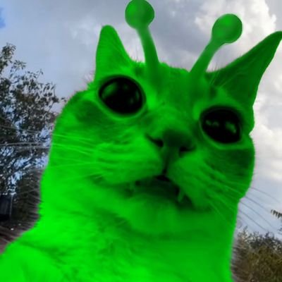 nimyme's profile picture. Love life, it is for all