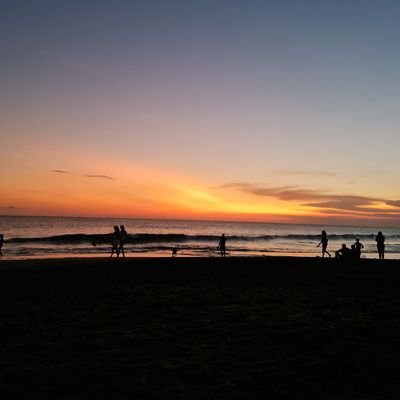 go_voix's profile picture. 