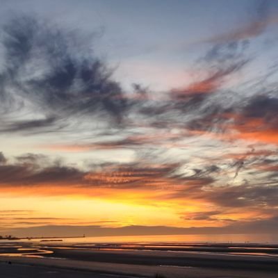 CDLT2412's profile picture. Adult
I am who I am and I do what I want. I love my freedom - OT5 Forever -