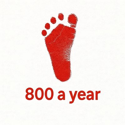 RapidReviewToll's profile picture. 