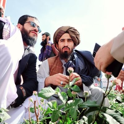 H_nisar786's profile picture. دغزني د اطلاعاتو او فرهنګ رئیس/رئیس اطلاعات و فرهنگ غزنی/ د فرهنګي کمېسیون پخوانی غړی