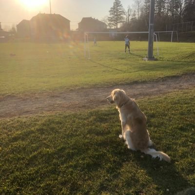 Petevez0101's profile picture. Entrepreneur, sportif et father of 3! crypto fan