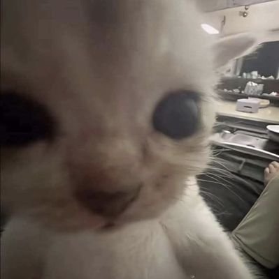 Minxy135's profile picture. Aficionado de la tecnología, de Pokémon y del mundo Vtuber :D
