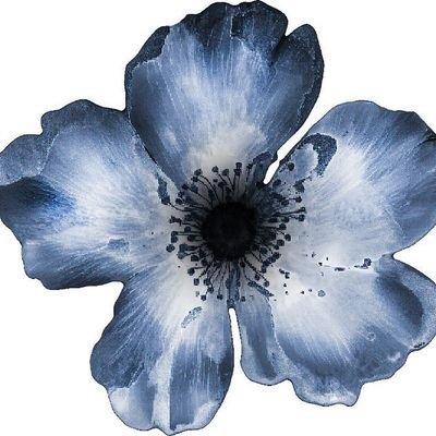 dejxvues's profile picture. rekomendasi barang shopee.                                    
new acc, lets be moots