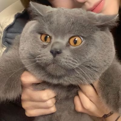 cot250's profile picture. 热爱生活