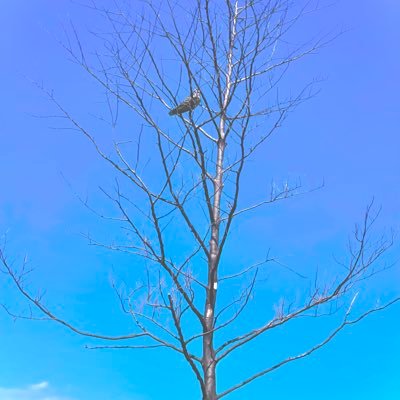 yjdpw2016's profile picture. 