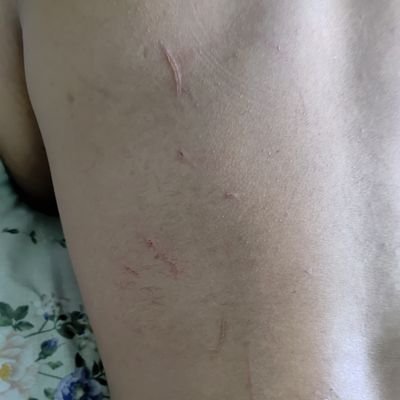 PLenovo85282's profile picture. I m single age 29 _Noida