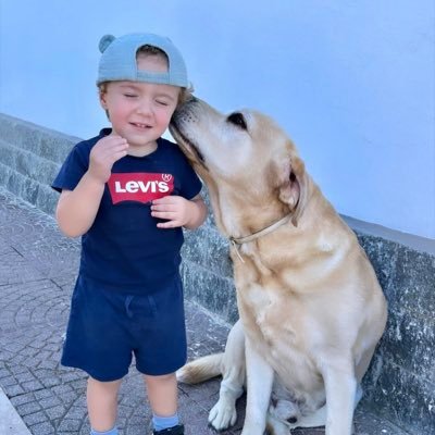 marcolino8522's profile picture. 