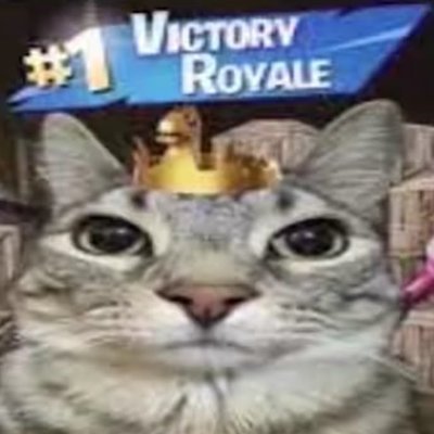 Droixfnbr's profile picture. 14 ∣ 🇮🇹 ∣ player for @EsportsEncar | MNG: @GoNxva