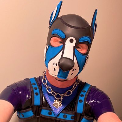 rubbergingerboi's profile picture. Nerdy rubber kinky pup livin’ in a squeaky world!