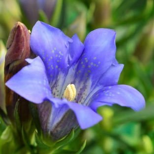 rindou0721's profile picture. 1993年～DOMOTO沼落ち。図書委員歴33年目。ずっと1番の推し。彼等の影響でコロナ禍からふぉ〜ゆ〜の現場も🏃‍♂️今やソロ現場も🏃‍♂️福山雅治さん、ORANGERANGEのライブにも参戦。ミッフィーラブ🐰2024.10～自分の投稿はインスタへ移行