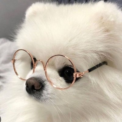 WaAcaTetsu_rik's profile picture. 09/鉄緑/モチベになるのでフォローお願いします!↓スタプラ↓ マシュマロhttps://t.co/TWcJxu8eEO