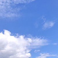 ちっひー (@17jack_sr) 's Twitter Profile