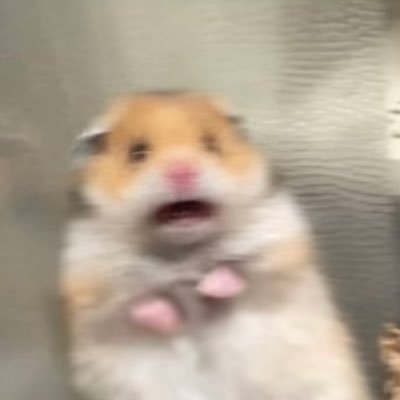 TayU1362138's profile picture. 