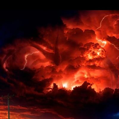 fitzs4267367's profile picture. 