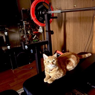 6EOCbw0RZbsJPgK's profile picture. 愛知在住 ジムニーシエラ好き プロレス好き エルサムライ好き　🐈も🐕も好き　料理.筋トレ好き