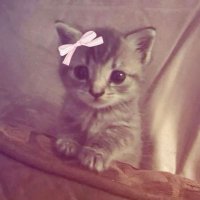 Gap yeara |x (@xn_2oo7) 's Twitter Profile Photo