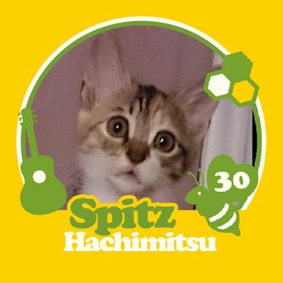 みみたん様 みみたん - Search / X