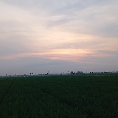 HasimaYuji59418's profile picture. Botak