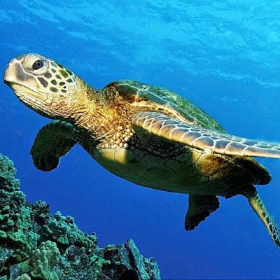 StephenBun53237's profile picture. 