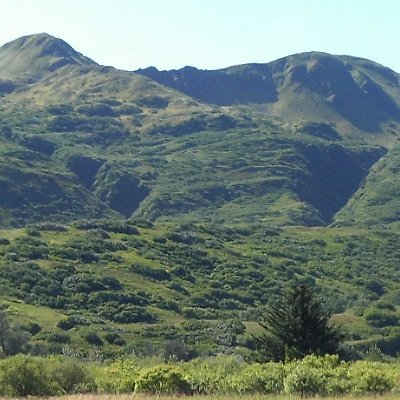 InsprDevotions's profile picture. Daily Inspiration.