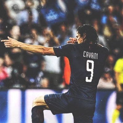 pg147500's profile picture. @limogescsp @psg_inside @cabclrugby