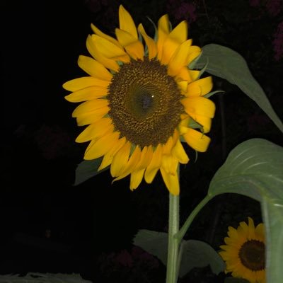Yさんのプロフィール画像
