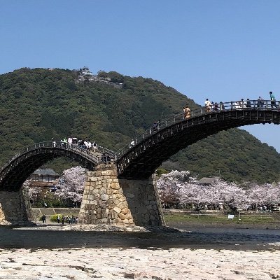 岩国市の地域bot(手動)です
中の人はただの岩国市民です
岩国市のことや広島、山口のことをツイートします
怪しいアカウント以外はフォロバします
よろしくお願いします