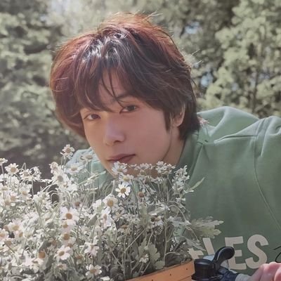 from serenade boy to my little dandelion