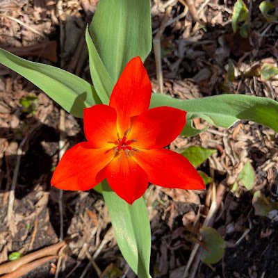 JMacrae82693's profile picture. 