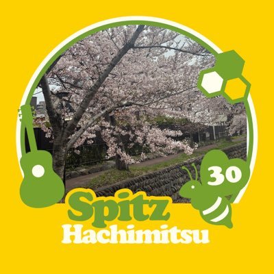 hkoh9Qmf02MvsHo's profile picture. はじめまして！ スピッツがいてくれるだけで、人生楽しめる😆2023ロックのほそ道からsumikaもお気に入りに✨ 2024.11.23〜真駒内アイスアリーナからVaundyにハマりVAWSpremium会員に