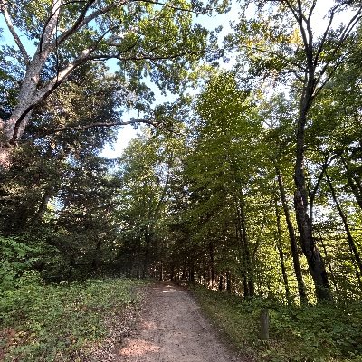 yallplagiarise's profile picture. 