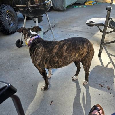 LyeLyeSkow73952's profile picture. 