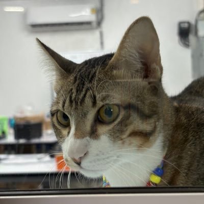 PSiritap's profile picture. i ♡ got7 | Mark | Bam