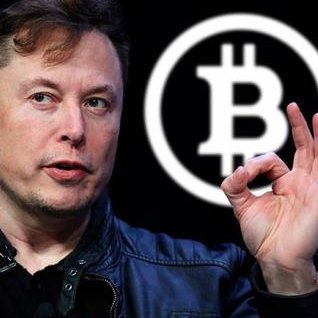 hibtc123's profile picture. #btc