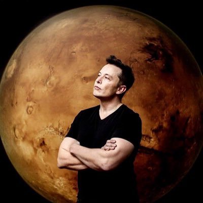 emuskforum's profile picture. 