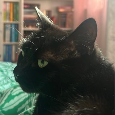 Shaun, 31, UK. World Traveller and Lover of Metal Music.