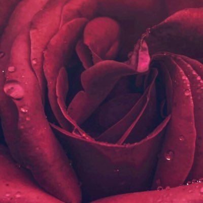 MEI097284372746's profile picture.