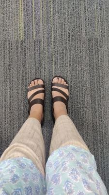 ramblerinaa's profile picture. Scientist and writer