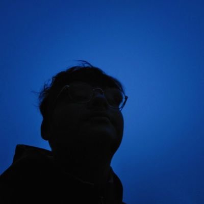 MokshGoyal007's profile picture. 📊 Data science enthusiast | Exploring ML, visualization, and real-world insights